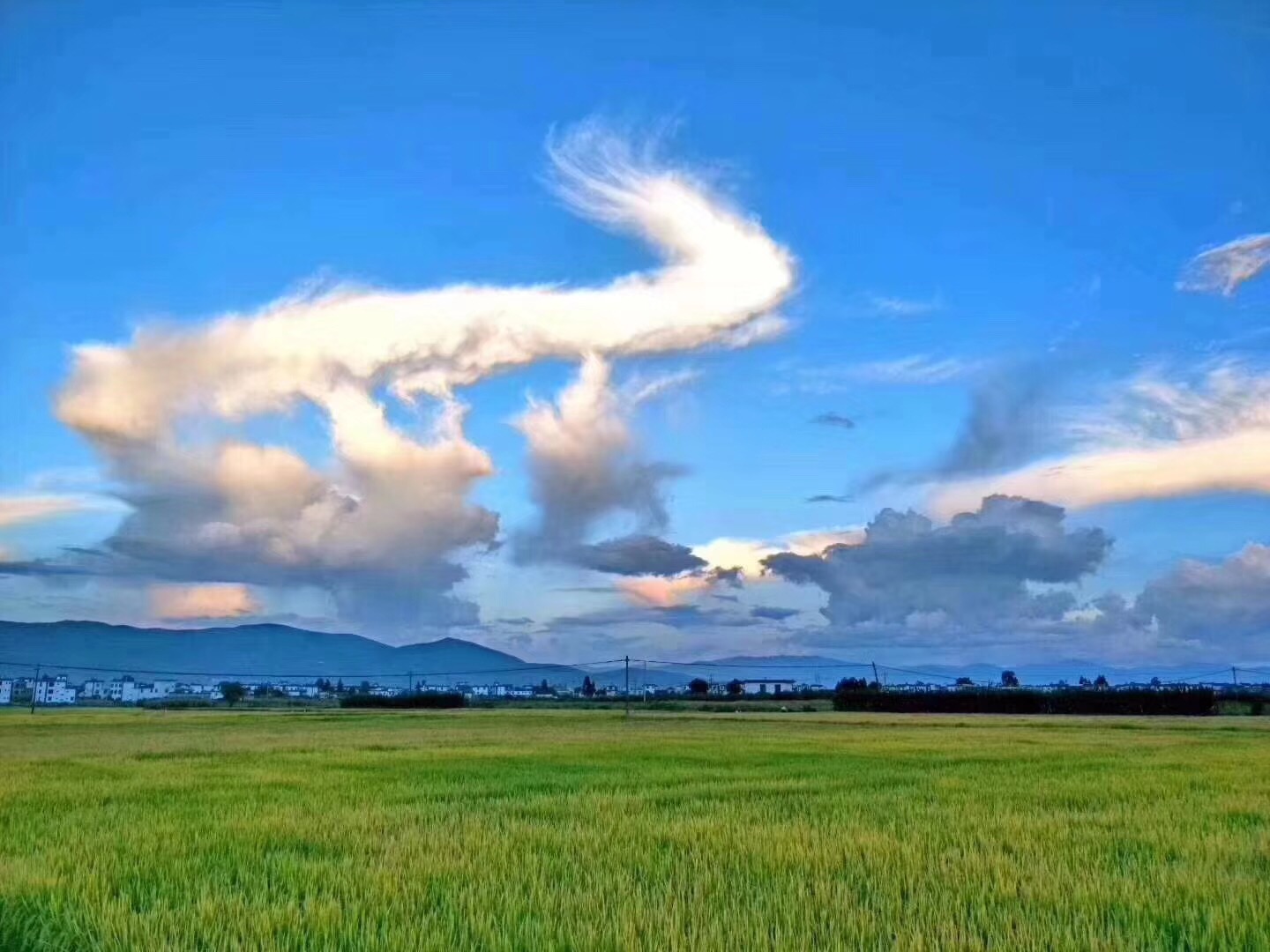 青島會議公司員工總結(jié)